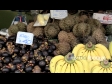 Dorian Fruit, Market 2 2246